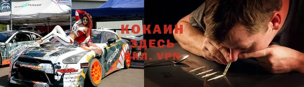 индика Белокуриха
