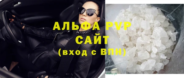 индика Белокуриха