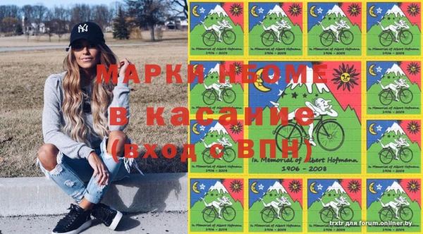 индика Белокуриха
