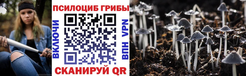 Псилоцибиновые грибы мицелий  OMG ССЫЛКА  Кушва  мориарти официальный сайт  где продают наркотики 